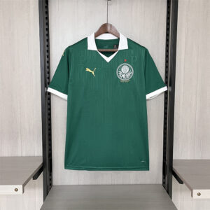 Camisa Palmeiras l 24/25